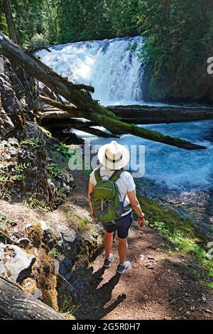 Ein älterer Bürger mittleren Alters, der in den Cascade Mountains im Zentrum von Oregon wandert. Stockfoto