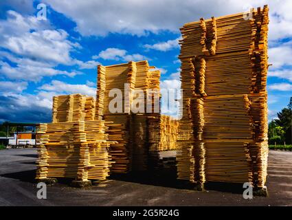 Holz, das zum Trocknen in einem Sägewerk gelagert wird Stockfoto