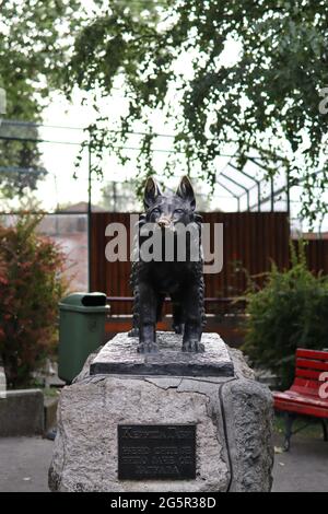 Belgrad, Serbien - 25. Juni 2021 Bronzestatue eines Hundedenkmals im Garten des Belgrader Zooparks an einem Sommertag Stockfoto