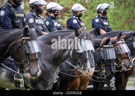 Berittene Polizisten überwachen einen Anti-Lockdown-Protest im Queen's Park in Toronto, Ontario. Stockfoto