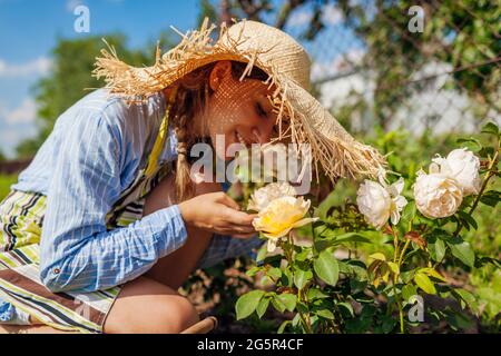 Der junge Gärtner genießt blühende Rosenblüten im Sommergarten. Frau riecht Englisch Graham Thomas Rose Stockfoto