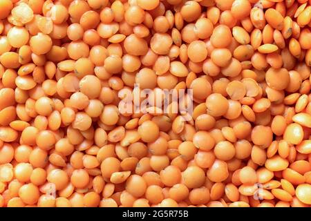 Rote Linsen als Hintergrund. Natürliche Bio-Linsen. Trockene, ungekochte rote Linsen, Körnerstruktur. Stockfoto