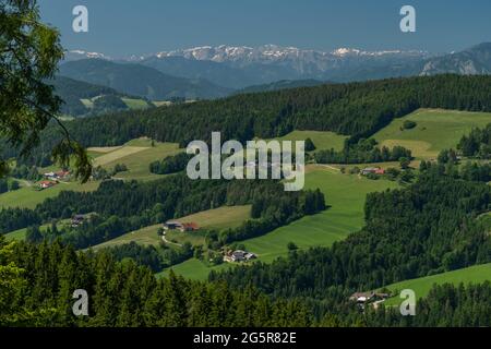 Pass in der Nähe des Niederer Schockl Hügels mit grünen Wiesen und Zäunen für Kühe in Südösterreich Stockfoto