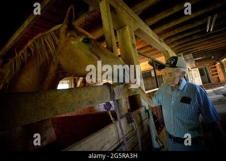 VEREINIGTE STAATEN - 06-29-21: Der 94-jährige Landwirt Russell Brown aus Waterford während eines Interviews über seine Tage bei der Landwirtschaft im Loudoun County. Gesehen hier visiti Stockfoto