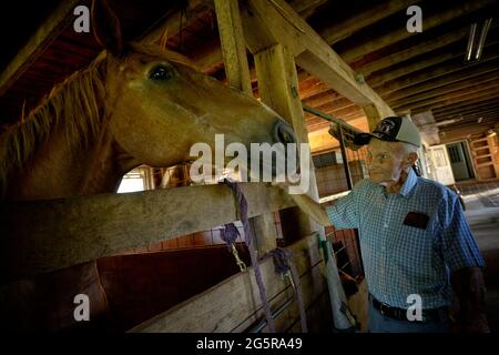 VEREINIGTE STAATEN - 06-29-21: Der 94-jährige Landwirt Russell Brown aus Waterford während eines Interviews über seine Tage bei der Landwirtschaft im Loudoun County. Gesehen hier visiti Stockfoto