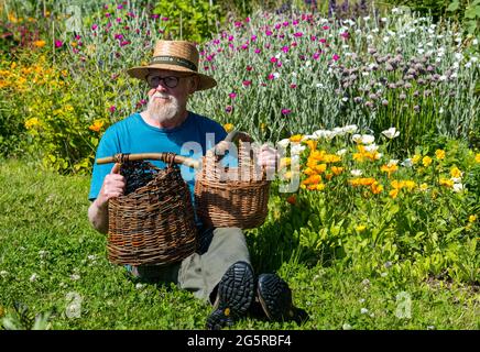 Gilmerton Walled Garden, East Lothian, Schottland, Großbritannien, 29. Juni 2021. Weidenweberei: Jerry Simcock zeigt einige seiner Weidenkörbe, die aus Weiden im Garten gepflanzt wurden. Der Garten wird von einer kleinen Gruppe von Freiwilligen entwickelt und umfasst einen Blumengarten, Weidenweg, Bienenstöcke, Gemüsebeete, Obstgarten und Wildblumenwiesen. Der Garten, der 2016 begonnen wurde, nimmt allmählich Gestalt an und es ist zu hoffen, dass neue Werkstätten für Weidenweberei die Besucher anregen werden Stockfoto