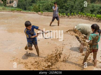 Kathmandu, Nepal. Juni 2021. Kinder spielen mit dem Schlamm auf dem Reisfeld am National Paddy Day. Nepalesische Bauern feiern den National Paddy Day, der den Beginn der jährlichen Reispflanzsaison markiert. Kredit: SOPA Images Limited/Alamy Live Nachrichten Stockfoto