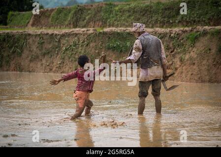 Kathmandu, Nepal. Juni 2021. Ein Kind spielt am National Paddy Day auf dem Reisfeld mit dem Schlamm. Nepalesische Bauern feiern den National Paddy Day, der den Beginn der jährlichen Reispflanzsaison markiert. Kredit: SOPA Images Limited/Alamy Live Nachrichten Stockfoto