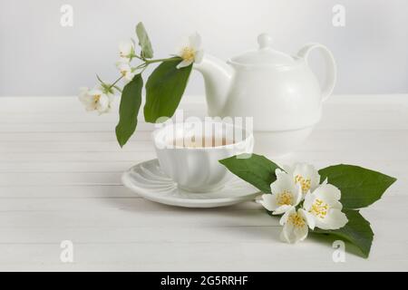 Jasminblüten und Teekannen auf weißem Hintergrund. Kräutertee aus Jasminblüte. Stockfoto