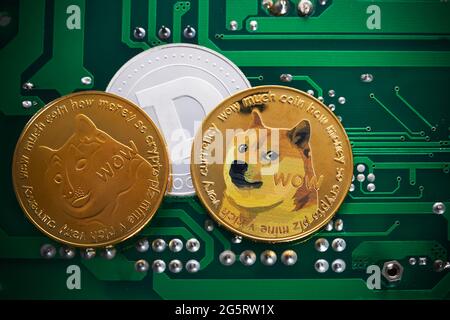 Goldene Dogcoin-Münzen. Kryptowährung Dogecoin. Doge Kryptowährung. Stockfoto