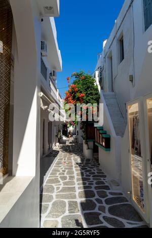 Paros, Griechenland. Traditionelle, weiß getünchte, gepunktete Gasse in der Altstadt, griechische Inseln der Kykladen. Stockfoto