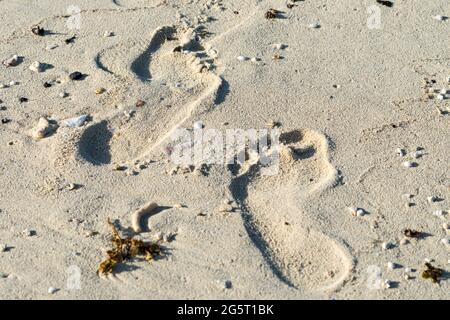 Fußabdrücke in weißem Sand auf einer tropischen Insel mit Strandkonzept Sommerurlaub oder Urlaub als abstrakt, Hintergrund oder Tapete Stockfoto