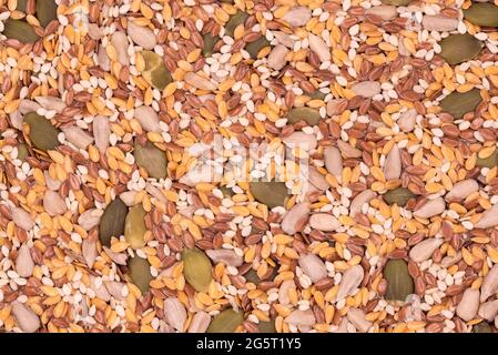 Oberfläche eines flachen Samens mit Sesam-, Flachs-, Kürbis- und Sonnenblumenkernen, Draufsicht close-up, Hintergrund Stockfoto
