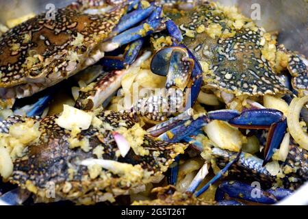 Frische blaue Krabben im Edelstahltopf, fertig zum Kochen auf heißem Dampf mit würziger Sauce und Zwiebeln Stockfoto