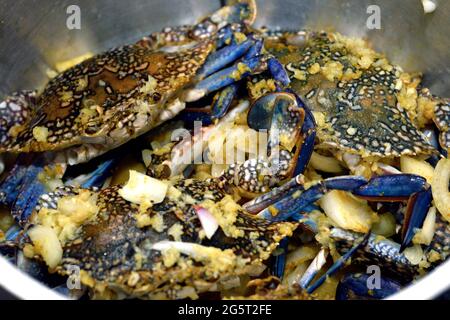 Frische blaue Krabben im Edelstahltopf, fertig zum Kochen auf heißem Dampf mit würziger Sauce und Zwiebeln Stockfoto