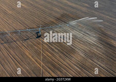 Luftaufnahme über das zentrale Schwenk-Bewässerungssystem, das Kulturen sprüht. Farm-Konzept, moderne Bewässerungsausrüstung, Landwirtschaft Textur. Stockfoto