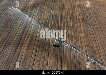 Luftaufnahme über das zentrale Schwenk-Bewässerungssystem, das Kulturen sprüht. Farm-Konzept, moderne Bewässerungsausrüstung, Landwirtschaft Textur. Stockfoto