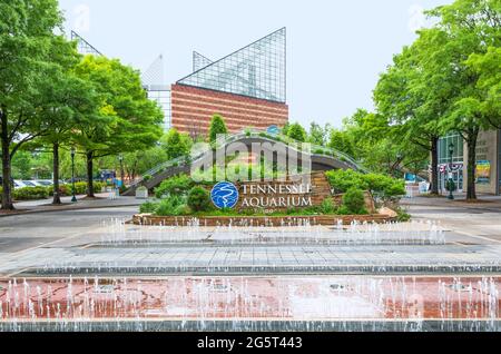 CHATTANOOGA, TN, USA-10 MAY 2021: Ein Wasserspiel und Pflanzer im Tennessee Aquarium in Chattanooga. Stockfoto