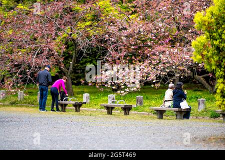 Kyoto, Japan - 17. April 2019: City Street in Kyoto gyoen Imperial Palace mit Menschen sitzen auf Bank im Frühjahr Blick auf rosa Kirschblüten Sakura Stockfoto