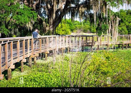 Gainesville, USA - 27. April 2018: Paynes Preserve State Park Watershed Trail Wanderweg Boardwalk in Florida Sumpf mit Menschen, die Blick auf vi Stockfoto
