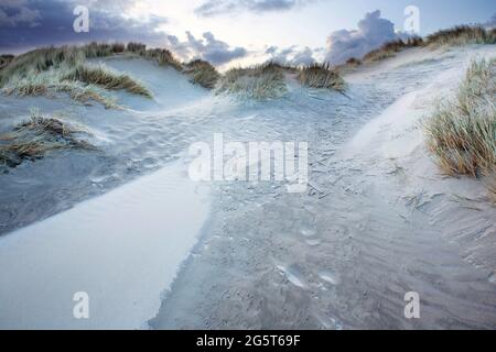 Sandsturm in den Sint-Laurinsduinen, Belgien, Westflandern, Middelkerke, Sint-Laurinsduinen Stockfoto