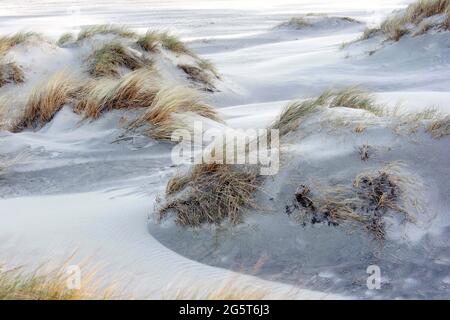 Sandsturm in den Sint-Laurinsduinen, Belgien, Westflandern, Middelkerke, Sint-Laurinsduinen Stockfoto