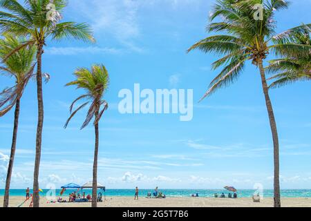 Hollywood, USA - 6. Mai 2018: Ozeanküste in Miami Florida tagsüber mit Menschen auf Sand, die unter einem bunten Sonnenschirm auf Stühlen sitzen, mit Wasser und pal Stockfoto