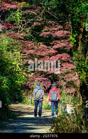 Ein schöner Tag für einen Spaziergang Stockfoto