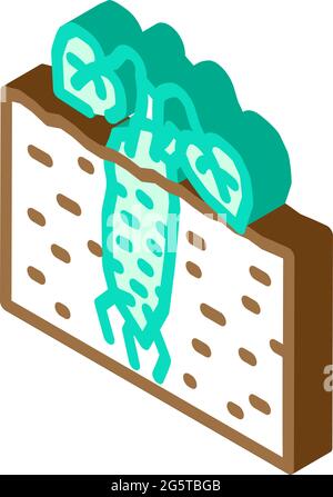 Wurzelpflanze Wasabi isometrische Symbolvektordarstellung Stock Vektor
