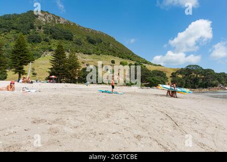 Mount Maunganui Neuseeland – 20 2015. Januar; Jugendliche stehen mit Paddelbrettern, die darauf warten, in die Brandung einzusteigen Stockfoto