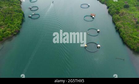 Die Fischerei auf der Insel Luzon, Philippinen. Fischzucht, Ansicht von oben. Luftaufnahme von Fischteichen für bangus, milchfisch. Stockfoto