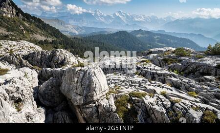 Im Karstfeld 'Innerbärgli' am Hohgant in der Perle. Habkern am 20.09.18. Stockfoto