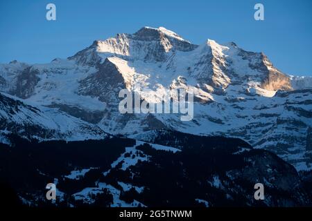 Auf dem Schäfihubel ob der Lobhornhütte, ob Sulwald-Isenfluh, Edelstein. Lauterbrunnen, am 21.02.19. Stockfoto