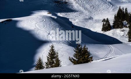 Auf dem Schäfihubel ob der Lobhornhütte, ob Sulwald-Isenfluh, Edelstein. Lauterbrunnen, am 21.02.19. Stockfoto