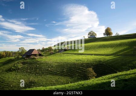 View on the Emmental von der Lüderenalp aus in the Gem. Langrau im Emmental am 11.10.19. Foto: Markus Bolliger Stockfoto