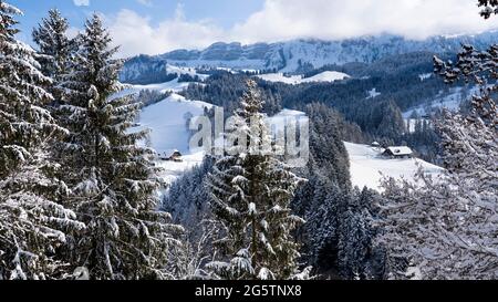 Im 'Bühl' / Aussereriz, Juwel. Eriz, mit Blick auf den Hohgant am 29.01.19. Stockfoto