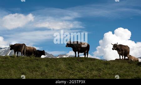 Oberengadiner Landschaft bei Grevasalvas aus der Region Gem. Sils im Engadin/Segl, am 20.07.19. Stockfoto