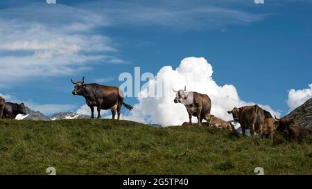 Oberengadiner Landschaft bei Grevasalvas aus der Region Gem. Sils im Engadin/Segl, am 20.07.19. Stockfoto