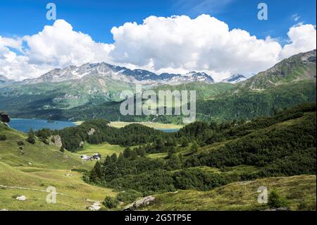 Oberengadiner Landschaft bei Grevasalvas mit dem Weiler aus der Region. Sils im Engadin/Segl, am 20.07.19. Stockfoto