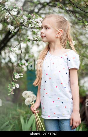 Kleines Mädchen in einem Frühlingsgarten mit weißen Dandelionen in ihren Händen Stockfoto