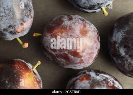 Mehrere organische schwarze Pflaumen, Nahaufnahme, auf einer Schiefertafel, Draufsicht. Stockfoto