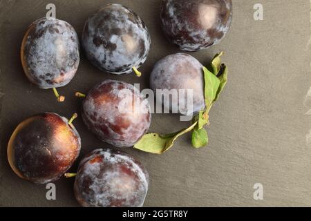 Mehrere organische schwarze Pflaumen, Nahaufnahme, auf einer Schiefertafel, Draufsicht. Stockfoto