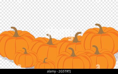 Herbst vector orange Kürbisse horizontale Banner Design Template für Bauernhof Markt Banner und Thanksgiving Day Hintergründe. Vektor Haufen von Orange pumpki Stock Vektor