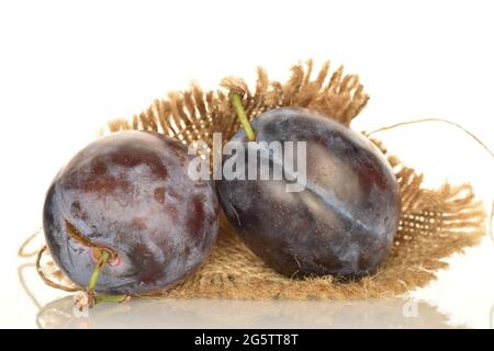 Zwei saftige schwarze Pflaumen mit Jute-Serviette, Nahaufnahme, isoliert auf weißem Grund. Stockfoto