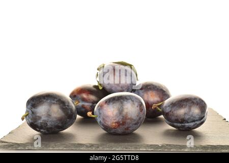 Mehrere reife Pflaumen auf einer Schiefertafel, Nahaufnahme, isoliert auf weißem Hintergrund. Stockfoto