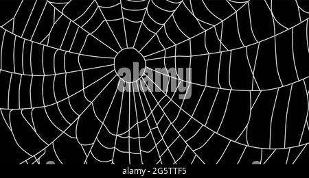 Spinnennetz, auf schwarzem Hintergrund isoliert. Spiderweb Muster für Halloween Design. Spinnennetz Elemente, gruselige, unheimlich, horror Halloween Dekoration. Hand si gezeichnet Stock Vektor