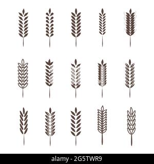 Landwirtschaft Weizen Logo Vorlage Vektor icon Stock Vektor