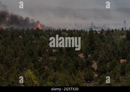 Weed, Kalifornien, USA. Juni 2021. Flammen entzünden die Krone der Bäume in der Nähe eines Hauses. Quelle: Jungho Kim/ZUMA Wire/Alamy Live News Stockfoto