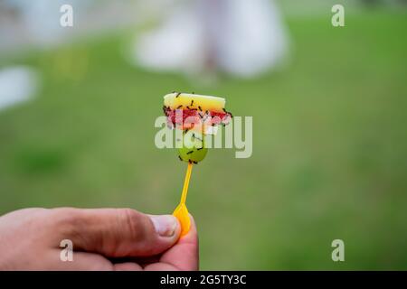 Ameisen essen aus der Nähe vom Buffet. Stockfoto