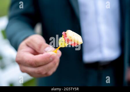 Ameisen essen aus der Nähe vom Buffet. Stockfoto